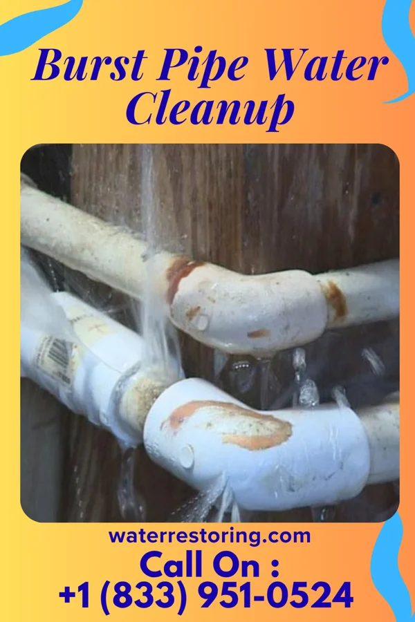 Burst Pipe Water Cleanup in Godfrey, IL