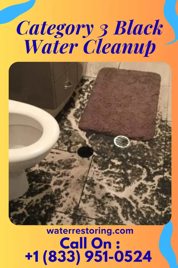 Category 3 Black Water Cleanup in Godfrey, IL