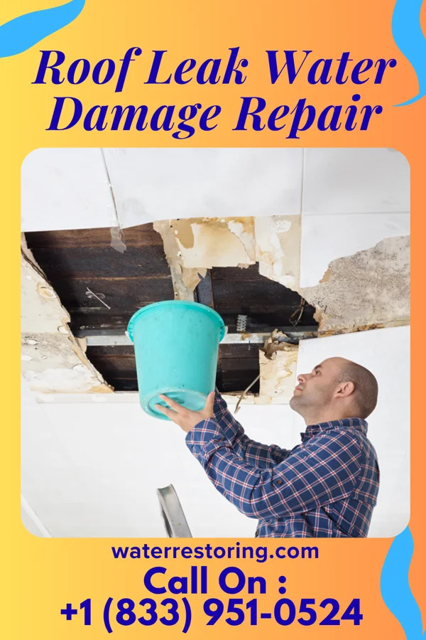 Roof Leak Water Damage Repair in Godfrey, IL